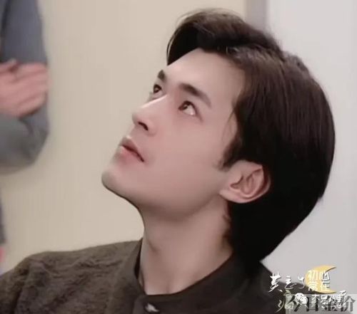 黄金单身汉by公子歌下