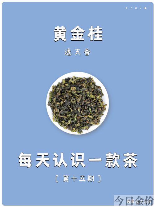 黄金桂茶