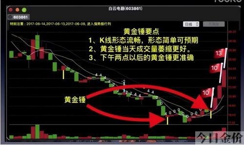 30克的黄金手镯有多大
