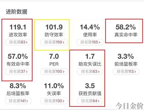 山东黄金金狮俱乐部