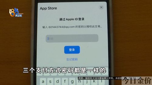 黄金眼图片浏览器
