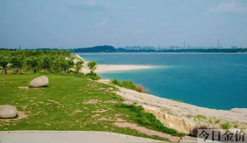 电白黄金海岸