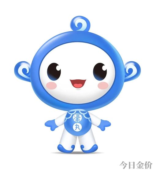 广州黄金海岸水上乐园门票
