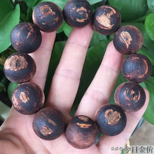 降真香黄金甲