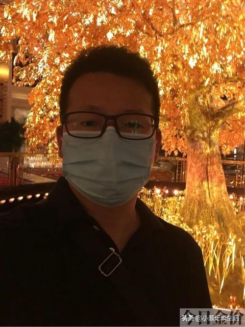 澳门黄金树