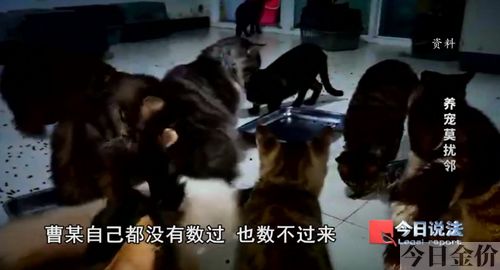 25层楼的黄金层是哪几层