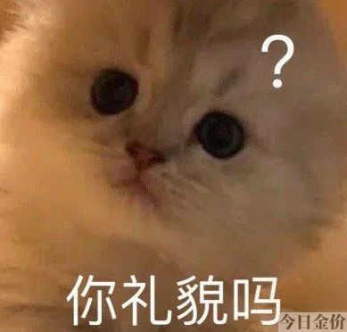 pt950铂金 黄金