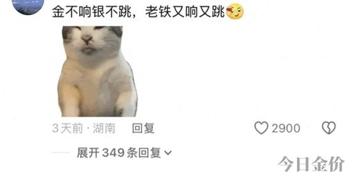 长沙市黄金加工去什么地方