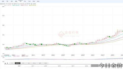 2024年黄金涨还是跌