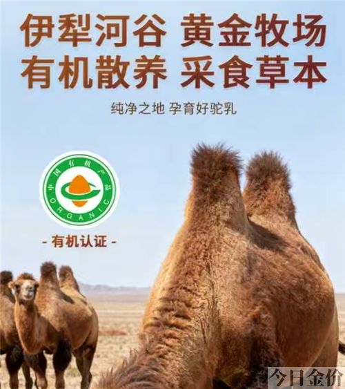 花园黄金牧场纯牛奶
