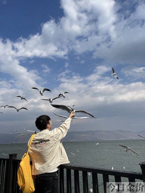 重生之遍地黄金