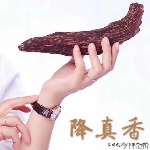 降真香黄金甲