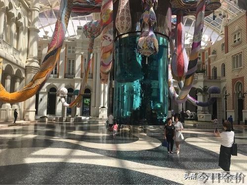 澳门黄金树