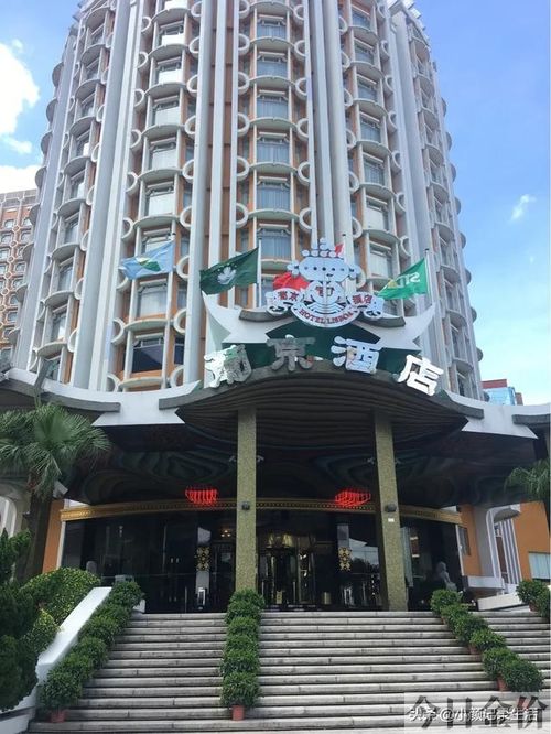 澳门黄金树