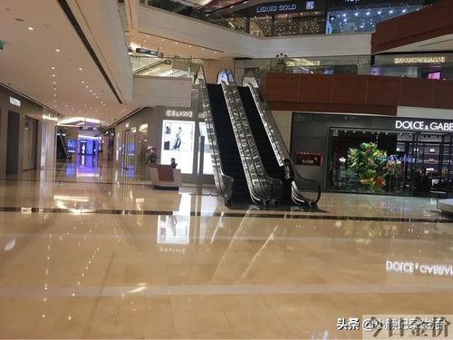 澳门黄金树