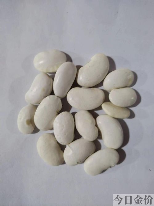 黄金豆一般哪里能买到