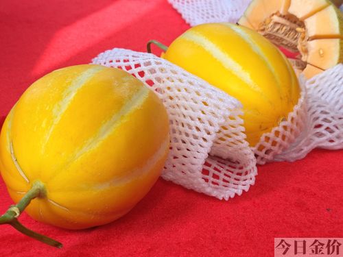 黄金甜瓜