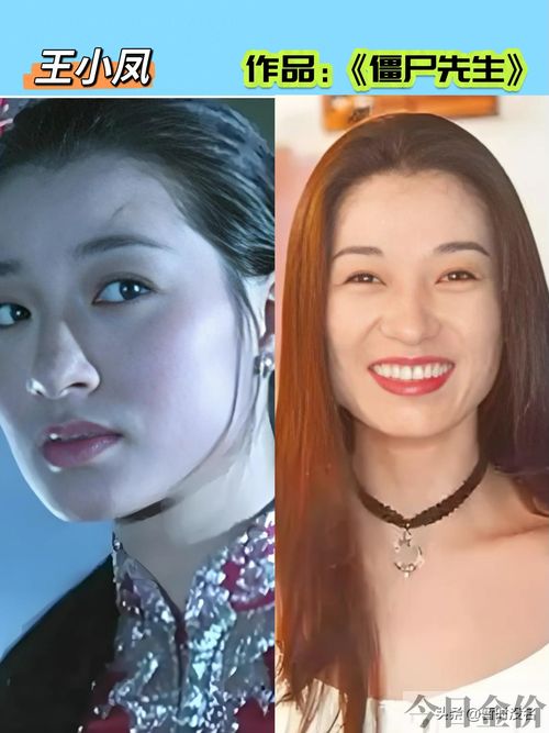 鬼打鬼之黄金道长