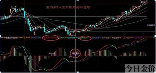 通达信黄金柱指标