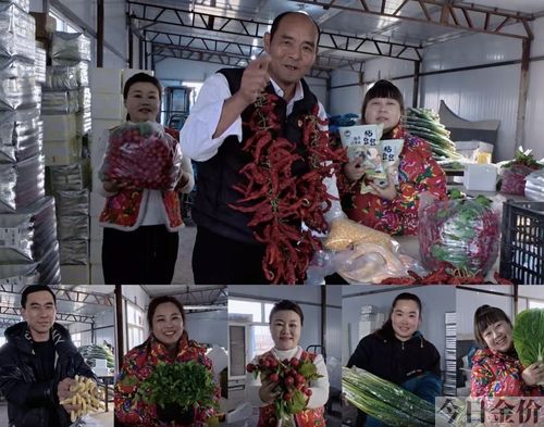 黄金勾豆角产地