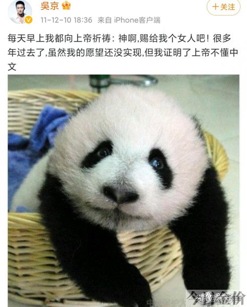 黄金对练白羊