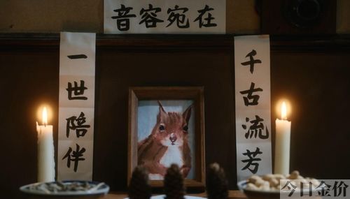 黄金年代温柔乡