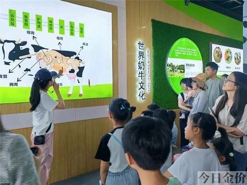 广州黄金海岸水上乐园门票