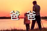 我的球迷爸爸作文800字（通用6篇）
