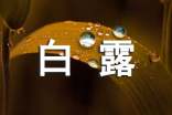 有关白露的句子