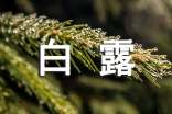 2022白露文案（精选170句）