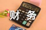 财务人员的试用期工作总结