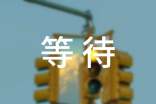 关于成长的作文：成长需要等待