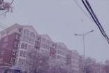 冬日的阳光作文10篇