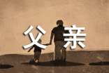 赞美父亲的文案290句
