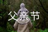 父亲节主题的活动总结（通用8篇）