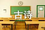 古诗比赛作文(精选19篇)