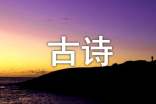 实用的古诗文作文