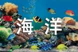 海洋奇缘观看心得感想