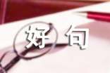 描写高兴的经典好句好段