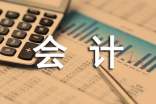 财务会计个人半年工作总结