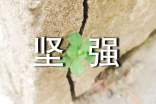 我坚强不屈的妹妹作文范文