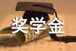 奖学金申请表个人总结（通用14篇）