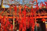 三年级写传统节日作文