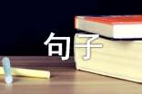 美得让人流泪的句子