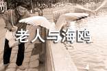 老人与海鸥教案（精选10篇）
