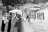 《老人与海鸥》优秀说课稿范文