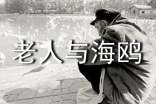 六年级上册《老人与海鸥》优秀教学反思范文