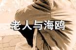 《老人与海鸥》优秀教案