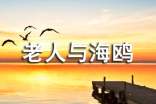 老人与海鸥优秀教学设计