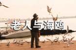 老人与海鸥教案（通用19篇）